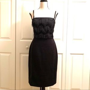 NWT Banana Republic Fringe Bodice Dress